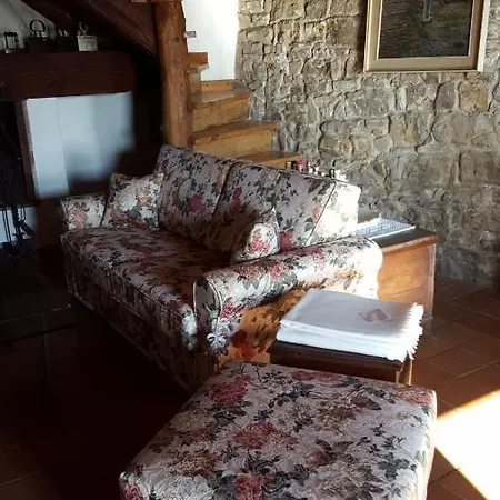 Arberi *