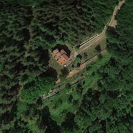 Arberi Millesimo